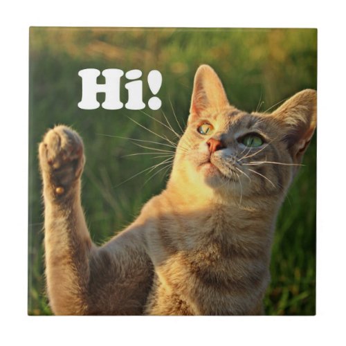 Ginger Cat Saying Hi Ceramic Tile