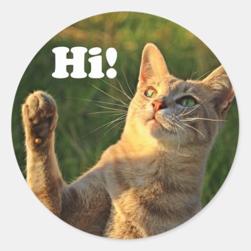 Ginger Cat Saying Hi Classic Round Sticker