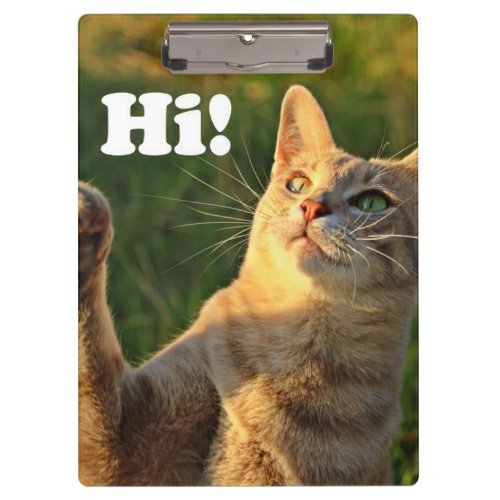 Ginger Cat Saying Hi Clipboard