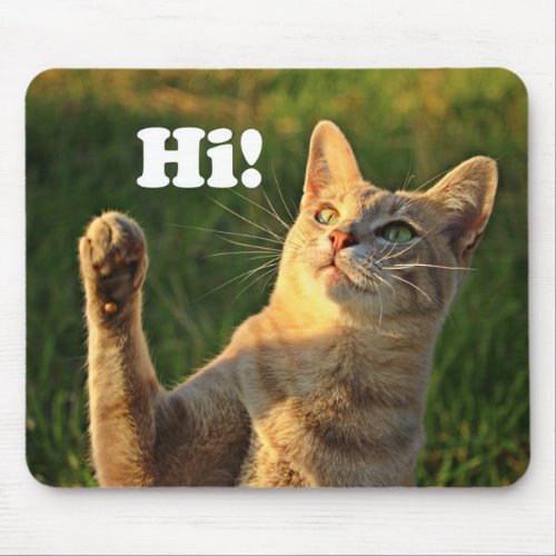 Ginger Cat Saying Hi Mouse Pad