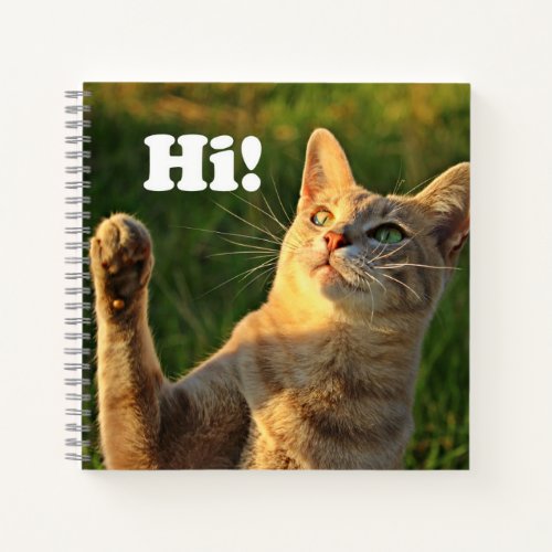 Ginger Cat Saying Hi Notebook