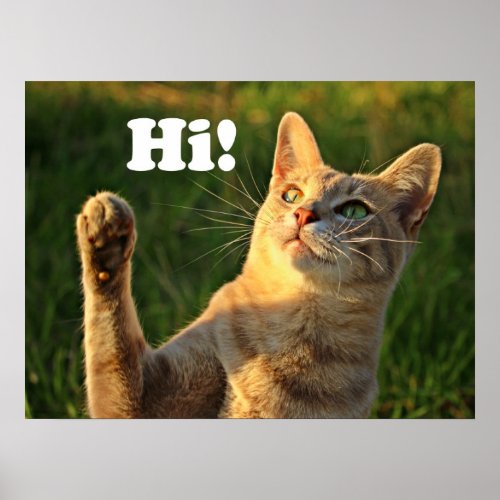 Ginger Cat Saying Hi Poster