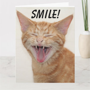 GINGER CAT SMILING HAPPY BIRTHDAY Greeting Cards