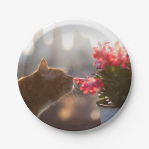 Ginger Cat Sniffing a Red Flower Paper Plates
