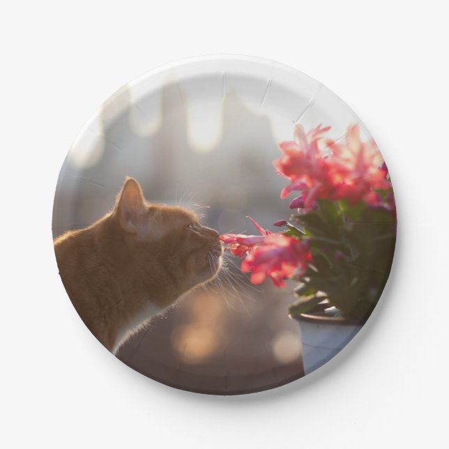 Ginger Cat Sniffing a Red Flower Paper Plates (Front)