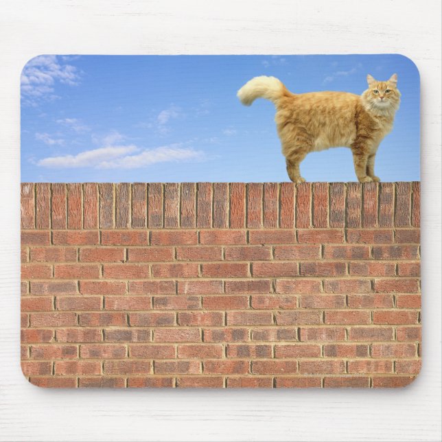 Ginger Cat Standing on Brick Wall Mouse Pad (Front)