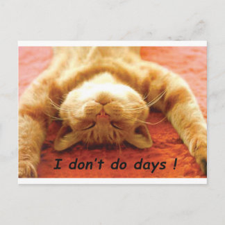 Ginger Cat T shirt, I don't Do Days Postcard