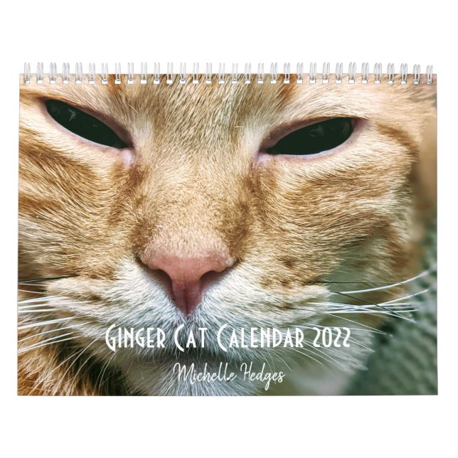 Ginger Cat Wall Calendar 2022 (Cover)