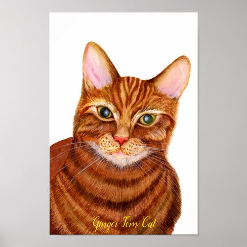 Ginger Cat Watercolour Artwork Poster