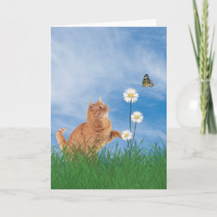 Ginger Cat With Daisy Birthday Card