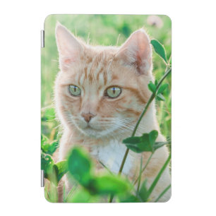 Ginger Cat with Green Eyes in Grass iPad Mini Cover