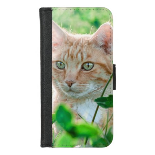 Ginger Cat with Green Eyes in Grass iPhone 87 Wallet Case