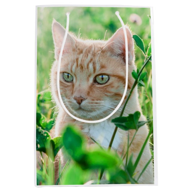 Ginger Cat with Green Eyes in Grass Medium Gift Bag (Front)