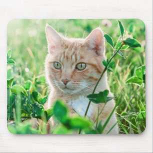 Ginger Cat with Green Eyes in Grass Mouse Pad