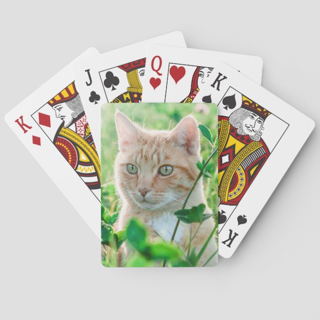 Ginger Cat with Green Eyes in Grass Poker Cards (Back)
