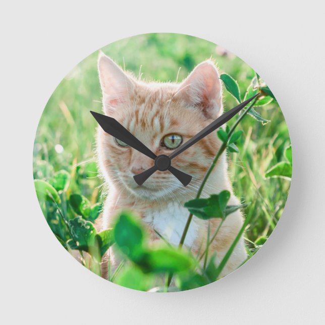 Ginger Cat with Green Eyes in Grass Round Clock (Front)