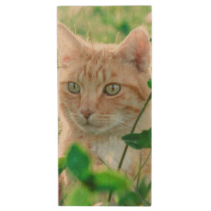 Ginger Cat with Green Eyes in Grass Wood Flash Drive