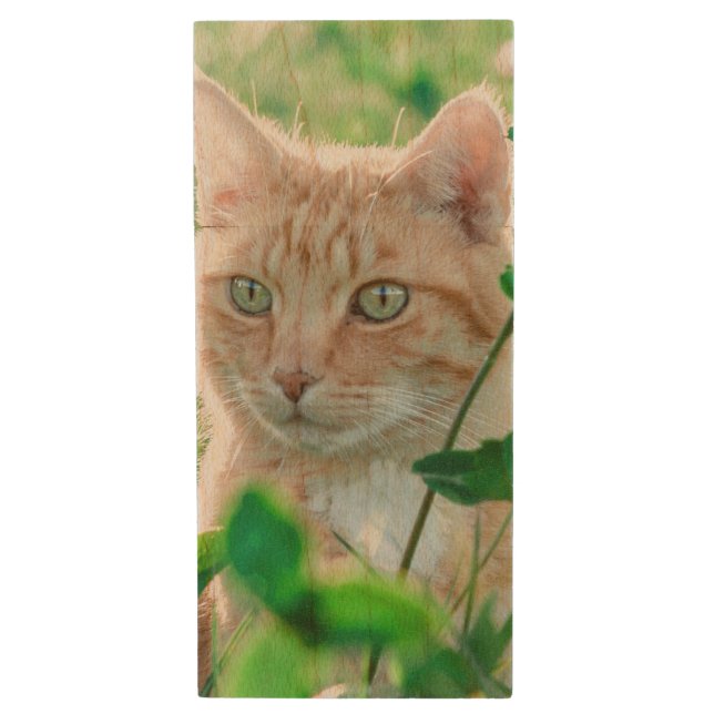 Ginger Cat with Green Eyes in Grass Wood Flash Drive (Front Vertical)