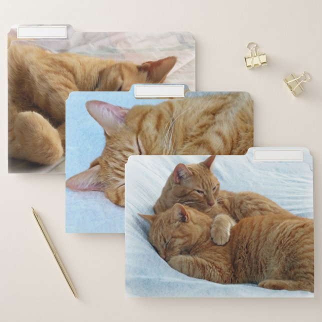 Ginger Cats File Folder (Set)