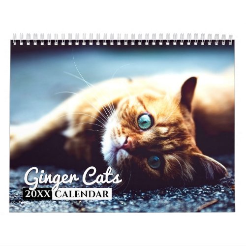 Ginger Cats Photo Wall Calendar