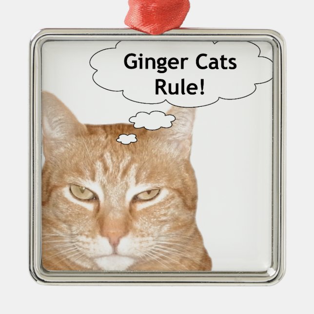 Ginger Cats Rule Metal Ornament (Front)