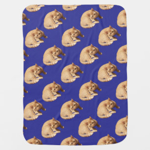 Ginger Cute Cat Photo Blue Red  Baby Blanket