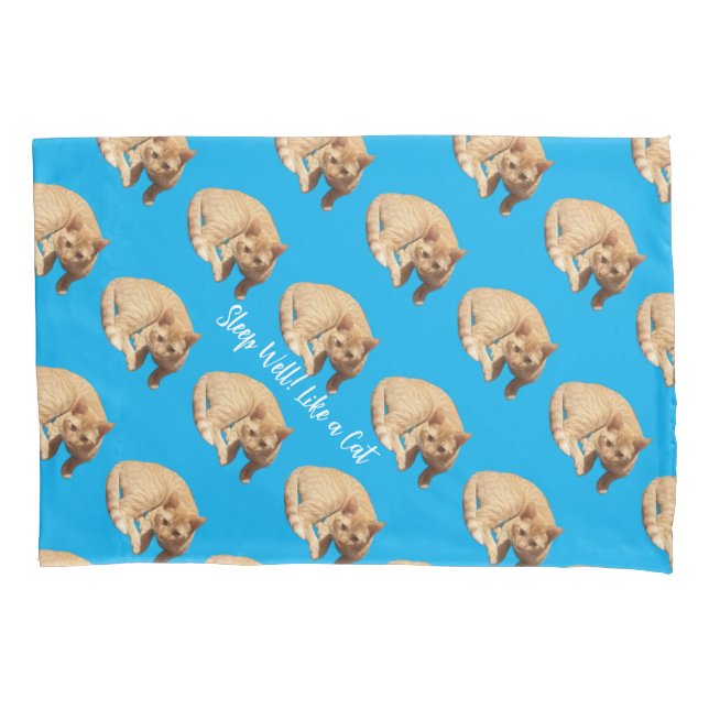Ginger Cute Cat Photo Text Blue Red  Pillow Case (Front)