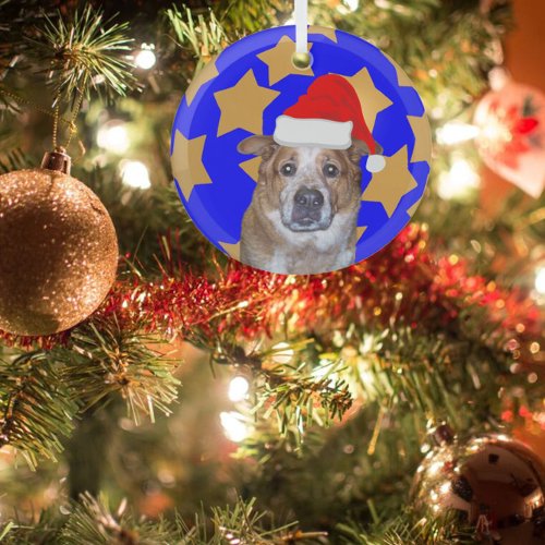 Ginger Dog in Santa Hat  Gold Stars on Blue   Glass Ornament