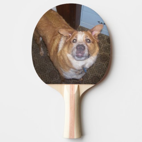 Ginger Dog Ready to Play Photo Ping Pong Paddle