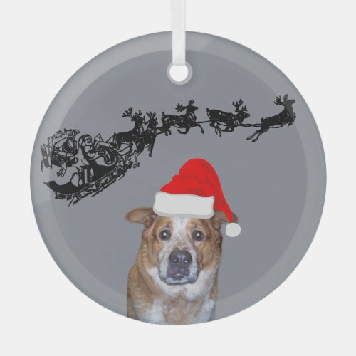 Ginger Dog with Santa Hat  Sleigh and Reindeer  Glass Ornament