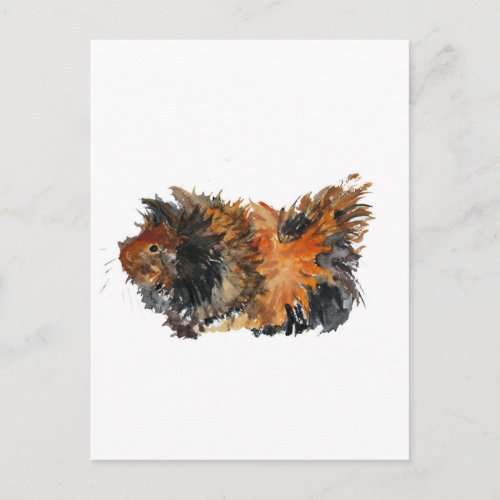 Ginger Fluffy Guinea Pig Watercolour Painting Postcard