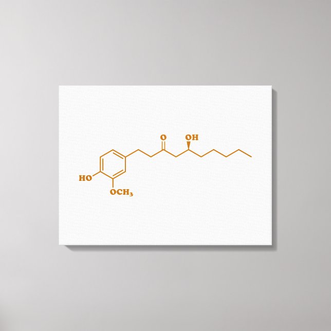 Ginger Gingerol Molecule Chemical Formula Canvas Print (Front)