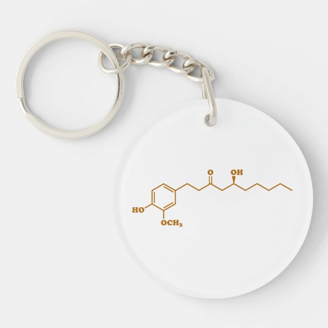 Ginger Gingerol Molecule Chemical Formula Keychain (Front)