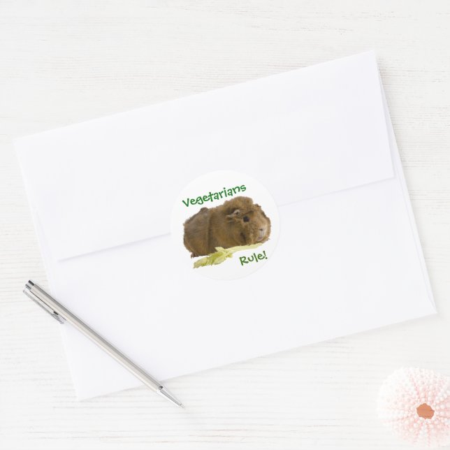 Ginger Guinea Pig Eating A Celery Stalk Photograph Classic Round Sticker (Envelope)