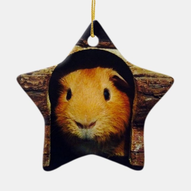 Ginger Guinea Pig Gifts Ceramic Ornament (Front)