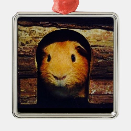 Ginger Guinea Pig Gifts Metal Ornament