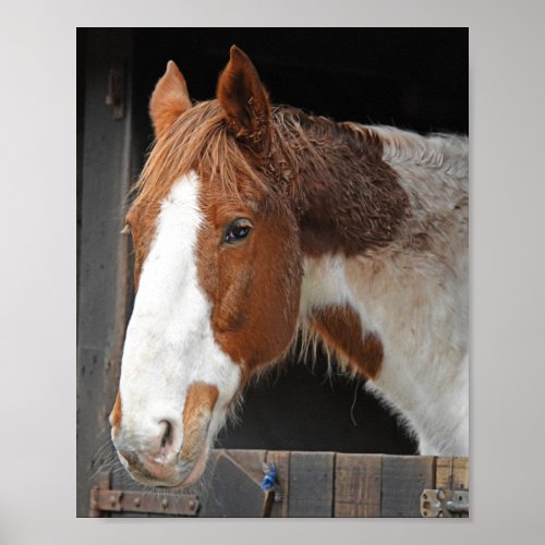 Ginger Horse on Farm Just a Girl who Loves Horses Poster