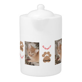 Ginger kitten 2 photos, best therapist,  teapot