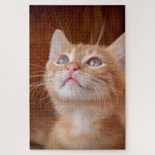 Ginger kitten blue eyes color photo cute cat jigsaw puzzle
