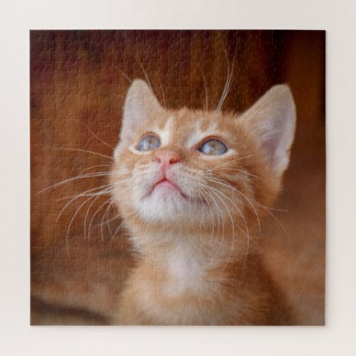Ginger kitten blue eyes photo cute 20 x 20 jigsaw puzzle