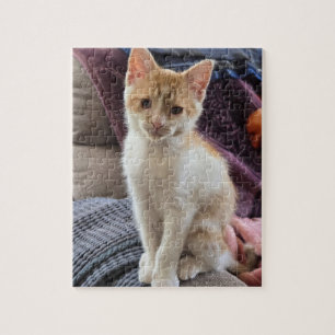 Ginger Kitten Jigsaw Puzzle