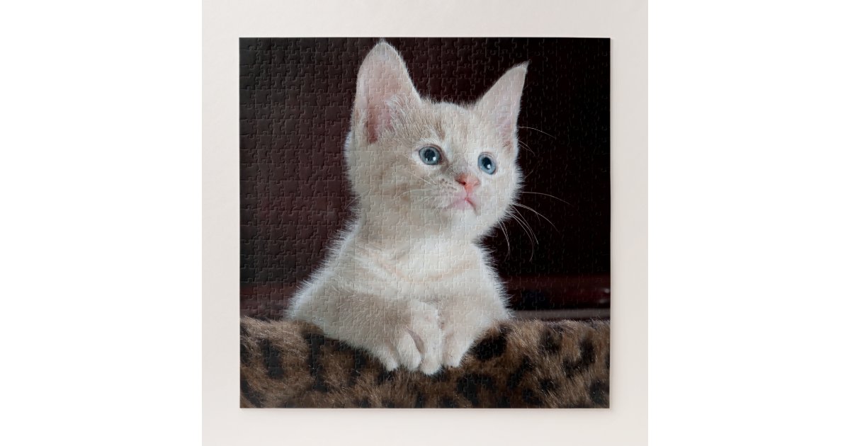 Ginger Kitten Jigsaw Puzzle Zazzle