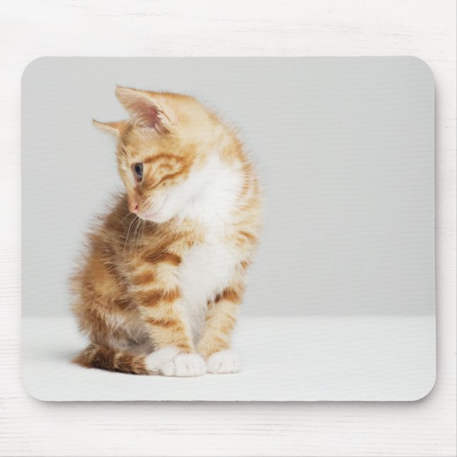 Ginger Kitten Mouse Pad (Front)