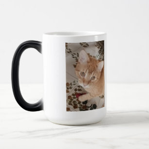 Ginger kitten photo, best therapist, color morph mug