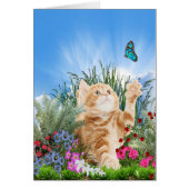 Ginger kitten playing with a butterfly (Front)