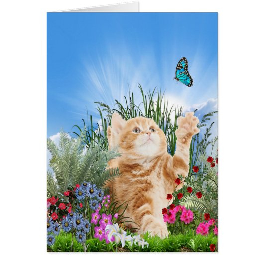 Ginger kitten playing with a butterfly cards (Front)