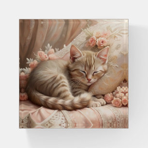 Ginger Kitten Sleeping (Shabby Chic) Paperweight