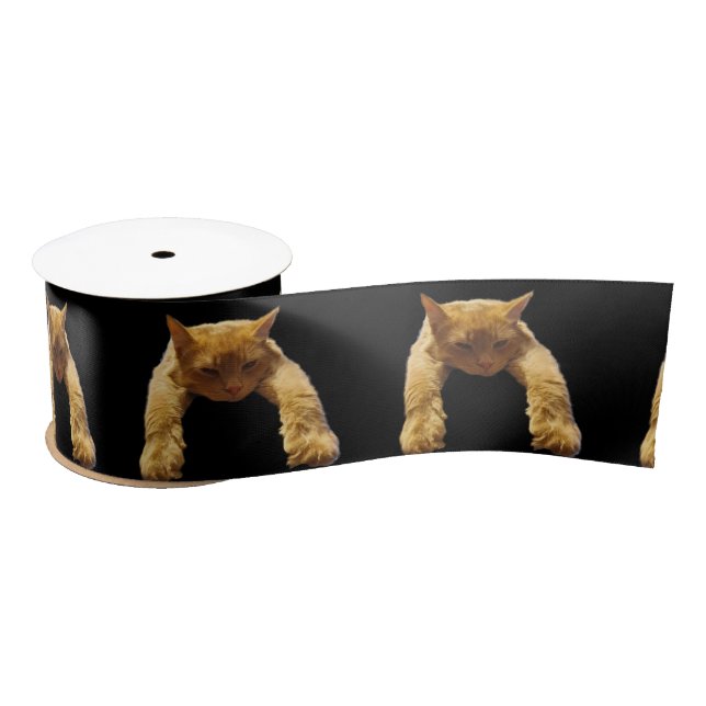 Ginger Lazy Cat, Satin Ribbon (Spool)