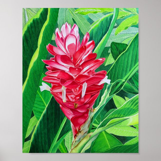 Ginger Light Poster (Front)