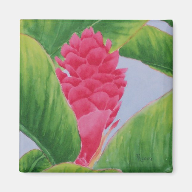 Ginger Magnet (Front)